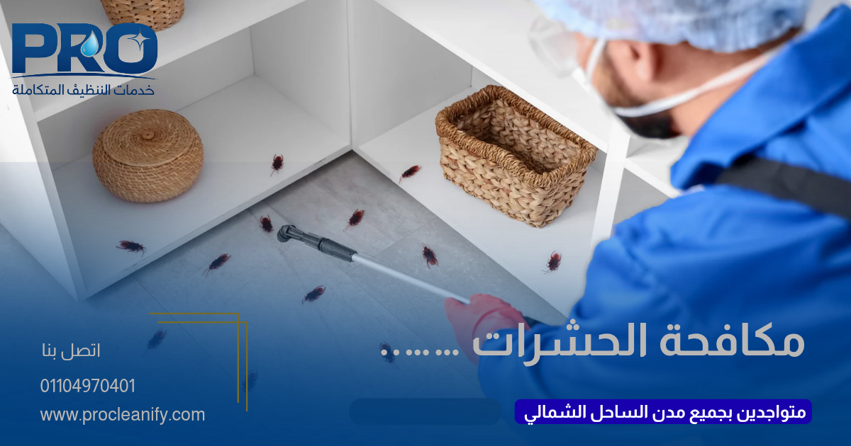 شركة مكافحة حشرات بالساحل الشمالي